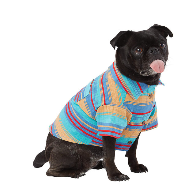 Top Paw® Blue Stripe Button Up Dog Shirt